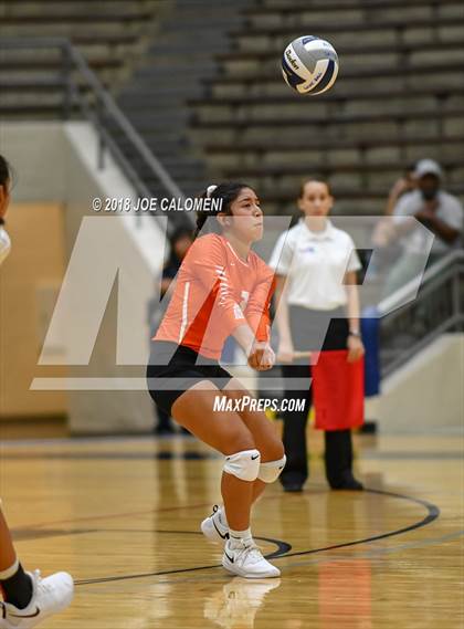 Thumbnail 1 in Burbank vs Lanier [Sidney] photogallery.
