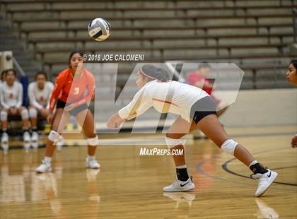 Thumbnail 1 in Burbank vs Lanier [Sidney] photogallery.