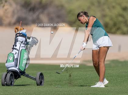 Thumbnail 2 in Virgin Valley vs Moapa Valley vs Boulder City vs Pahrump Valley, vs The Meadows School, vs Coral Academy of Science (Match 5 @ Casablanca) photogallery.