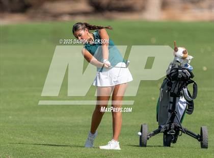 Thumbnail 1 in Virgin Valley vs Moapa Valley vs Boulder City vs Pahrump Valley, vs The Meadows School, vs Coral Academy of Science (Match 5 @ Casablanca) photogallery.