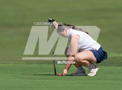Thumbnail 1 in Virgin Valley vs Moapa Valley vs Boulder City vs Pahrump Valley, vs The Meadows School, vs Coral Academy of Science (Match 5 @ Casablanca) photogallery.