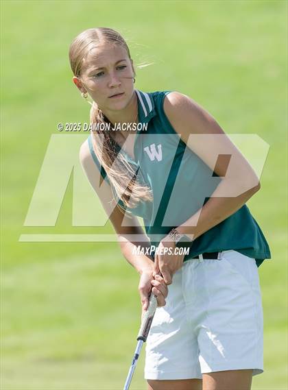 Thumbnail 1 in Virgin Valley vs Moapa Valley vs Boulder City vs Pahrump Valley, vs The Meadows School, vs Coral Academy of Science (Match 5 @ Casablanca) photogallery.