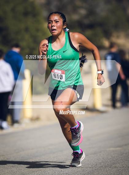 Thumbnail 1 in NMAA District 1-5A Cross Country Meet photogallery.
