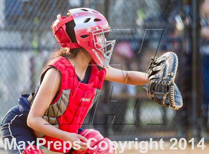 Thumbnail 3 in Stuart @ Washington-Lee photogallery.