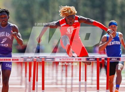 Thumbnail 3 in James Rollerson Memorial Relays (Hurdles) photogallery.
