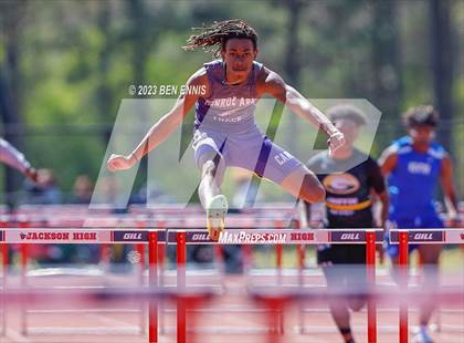 Thumbnail 3 in James Rollerson Memorial Relays (Hurdles) photogallery.