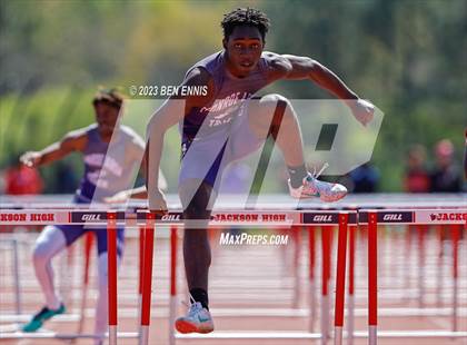 Thumbnail 3 in James Rollerson Memorial Relays (Hurdles) photogallery.