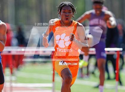 Thumbnail 1 in James Rollerson Memorial Relays (Hurdles) photogallery.