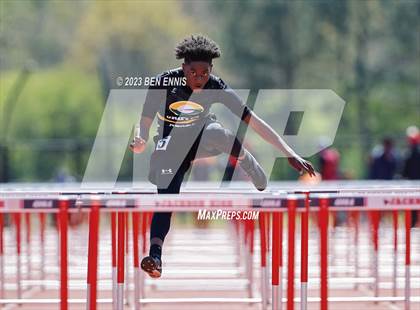 Thumbnail 1 in James Rollerson Memorial Relays (Hurdles) photogallery.