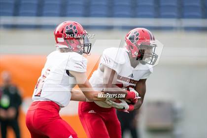 Thumbnail 1 in Blountstown vs. Madison County (FHSAA Class 1A Final) photogallery.