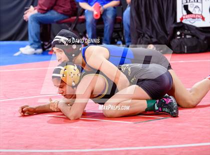 Thumbnail 2 in CIF State Girls Wrestling Championships (Round 1) photogallery.