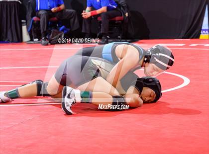 Thumbnail 1 in CIF State Girls Wrestling Championships (Round 1) photogallery.