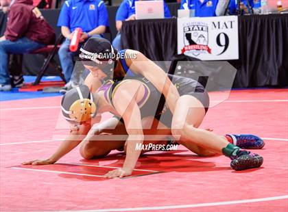 Thumbnail 1 in CIF State Girls Wrestling Championships (Round 1) photogallery.