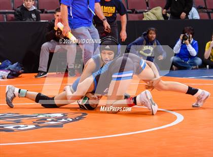 Thumbnail 2 in CIF State Girls Wrestling Championships (Round 1) photogallery.