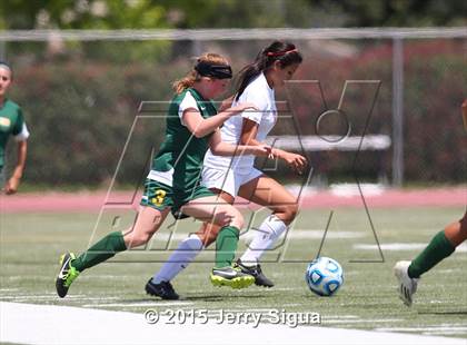 Thumbnail 2 in Placer vs. Woodland(CIF SJS D4 Final) photogallery.