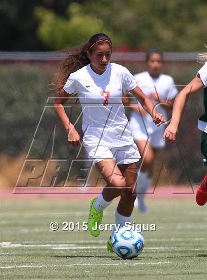 Thumbnail 1 in Placer vs. Woodland(CIF SJS D4 Final) photogallery.