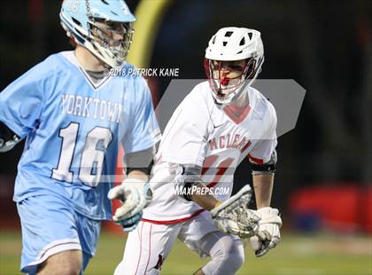Thumbnail 3 in Yorktown @ McLean photogallery.