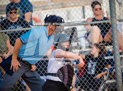 Thumbnail 3 in North Star @ Lincoln Northeast photogallery.