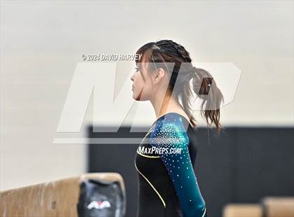 Thumbnail 3 in Lakewood Gymnastics photogallery.