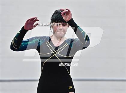 Thumbnail 2 in Lakewood Gymnastics photogallery.
