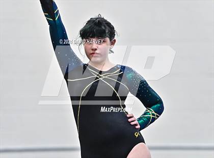 Thumbnail 1 in Lakewood Gymnastics photogallery.