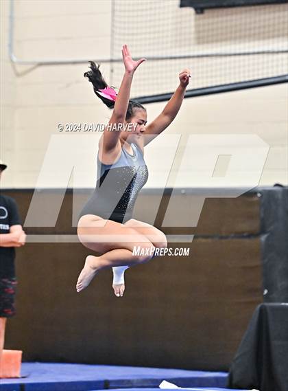 Thumbnail 2 in Lakewood Gymnastics photogallery.