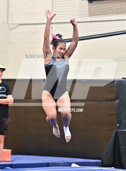 Thumbnail 1 in Lakewood Gymnastics photogallery.