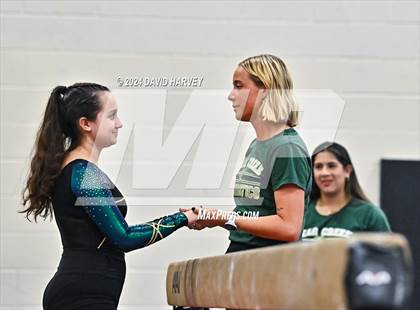 Thumbnail 3 in Lakewood Gymnastics photogallery.