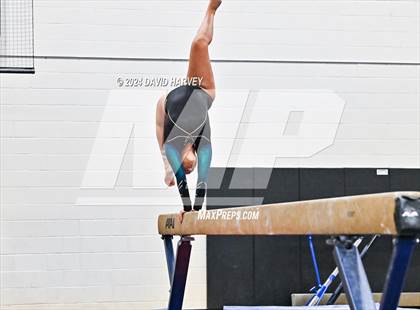 Thumbnail 3 in Lakewood Gymnastics photogallery.