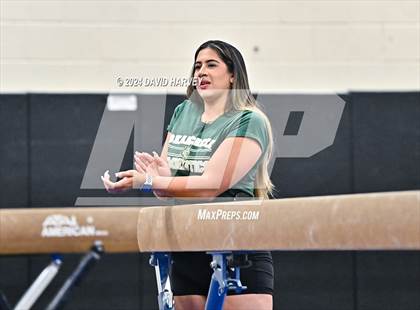 Thumbnail 3 in Lakewood Gymnastics photogallery.