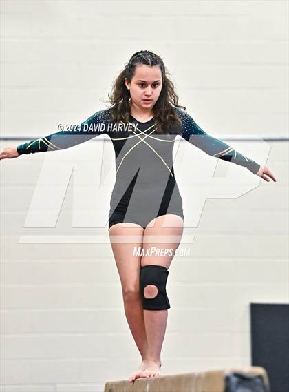 Thumbnail 2 in Lakewood Gymnastics photogallery.