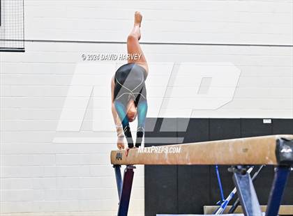 Thumbnail 2 in Lakewood Gymnastics photogallery.