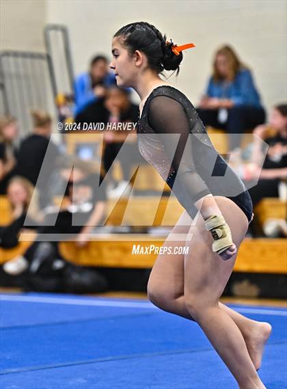 Thumbnail 1 in Lakewood Gymnastics photogallery.