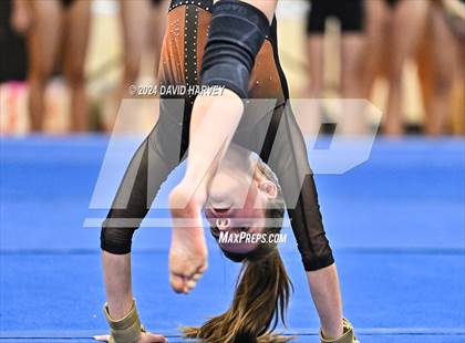 Thumbnail 2 in Lakewood Gymnastics photogallery.