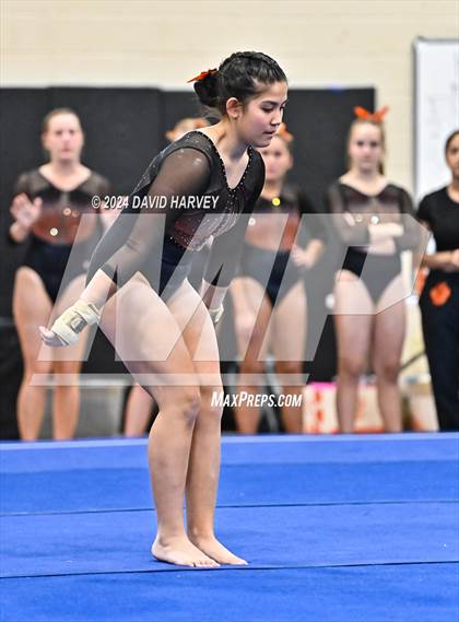 Thumbnail 2 in Lakewood Gymnastics photogallery.