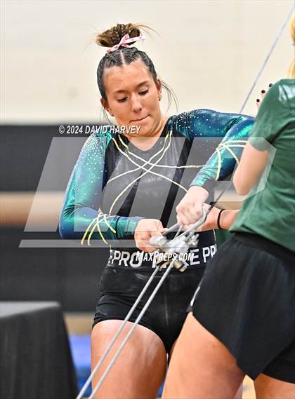 Thumbnail 2 in Lakewood Gymnastics photogallery.