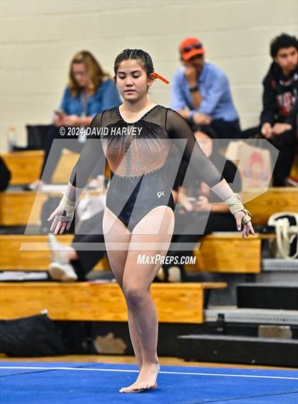 Thumbnail 2 in Lakewood Gymnastics photogallery.