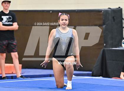 Thumbnail 3 in Lakewood Gymnastics photogallery.