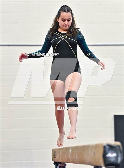Thumbnail 1 in Lakewood Gymnastics photogallery.