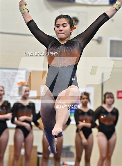 Thumbnail 1 in Lakewood Gymnastics photogallery.