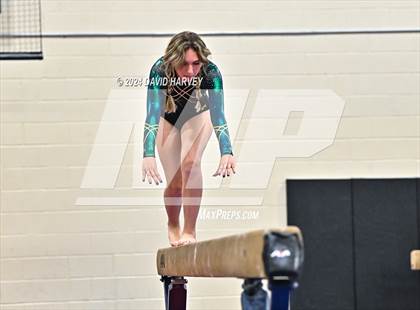 Thumbnail 1 in Lakewood Gymnastics photogallery.