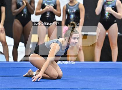 Thumbnail 3 in Lakewood Gymnastics photogallery.