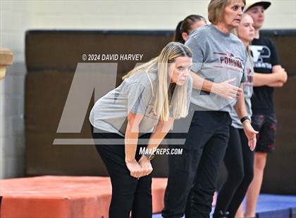Thumbnail 3 in Lakewood Gymnastics photogallery.