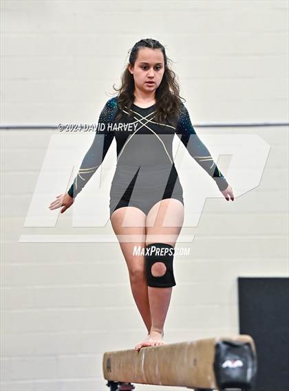 Thumbnail 1 in Lakewood Gymnastics photogallery.