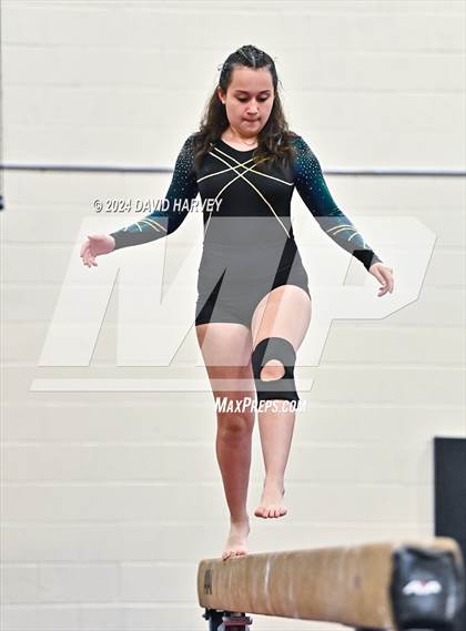 Thumbnail 3 in Lakewood Gymnastics photogallery.