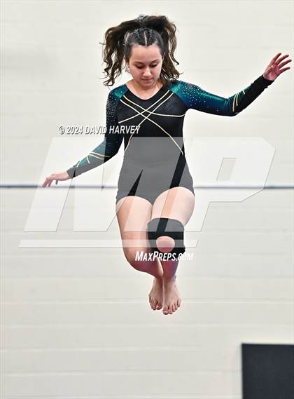 Thumbnail 2 in Lakewood Gymnastics photogallery.