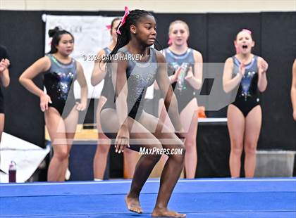 Thumbnail 3 in Lakewood Gymnastics photogallery.