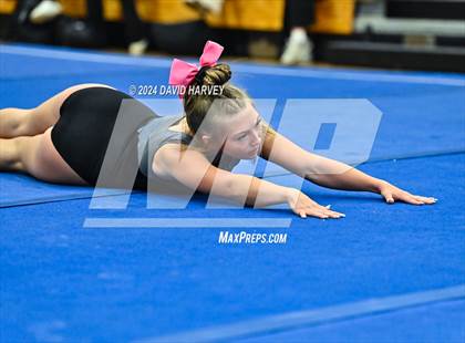Thumbnail 3 in Lakewood Gymnastics photogallery.