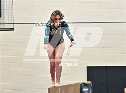Thumbnail 3 in Lakewood Gymnastics photogallery.
