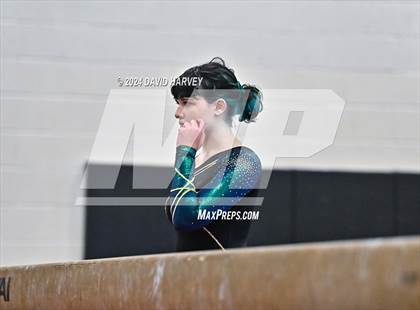 Thumbnail 3 in Lakewood Gymnastics photogallery.